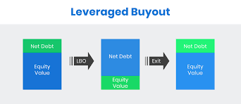 Private equity firms using a leveraged buyout