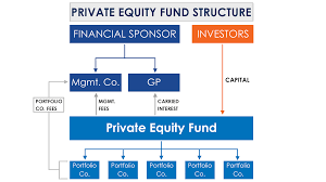 Private equity firms usually establish funds as Limited Partnerships